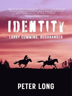 cover image of Identity